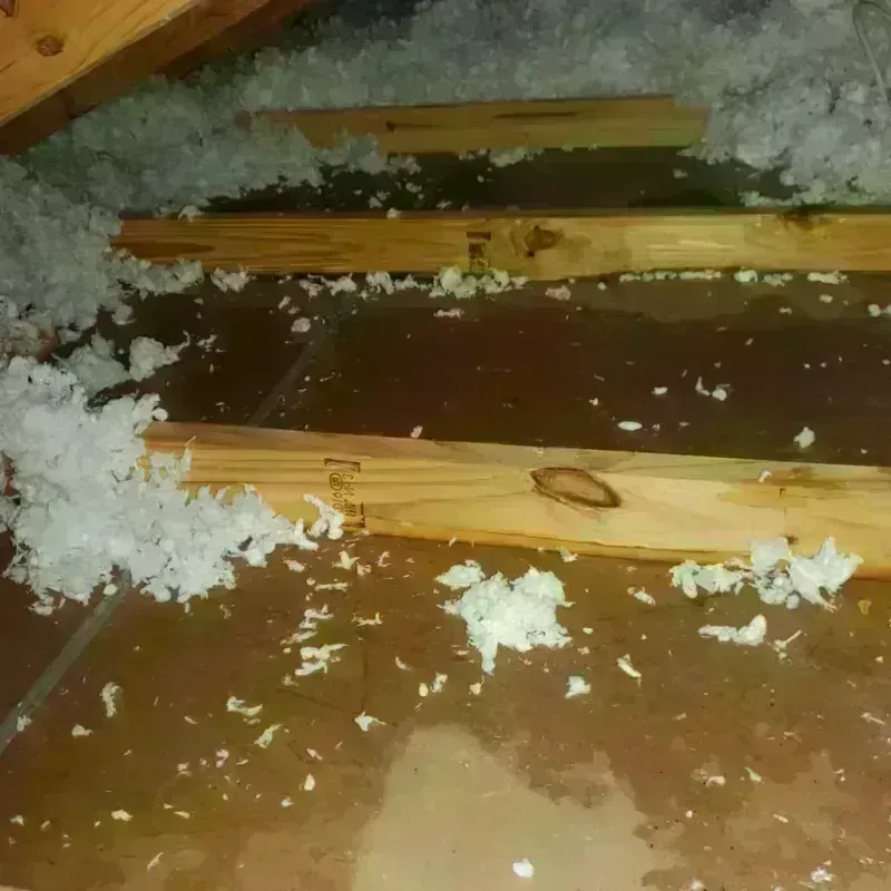 Attic Water Damage in Marseilles, IL