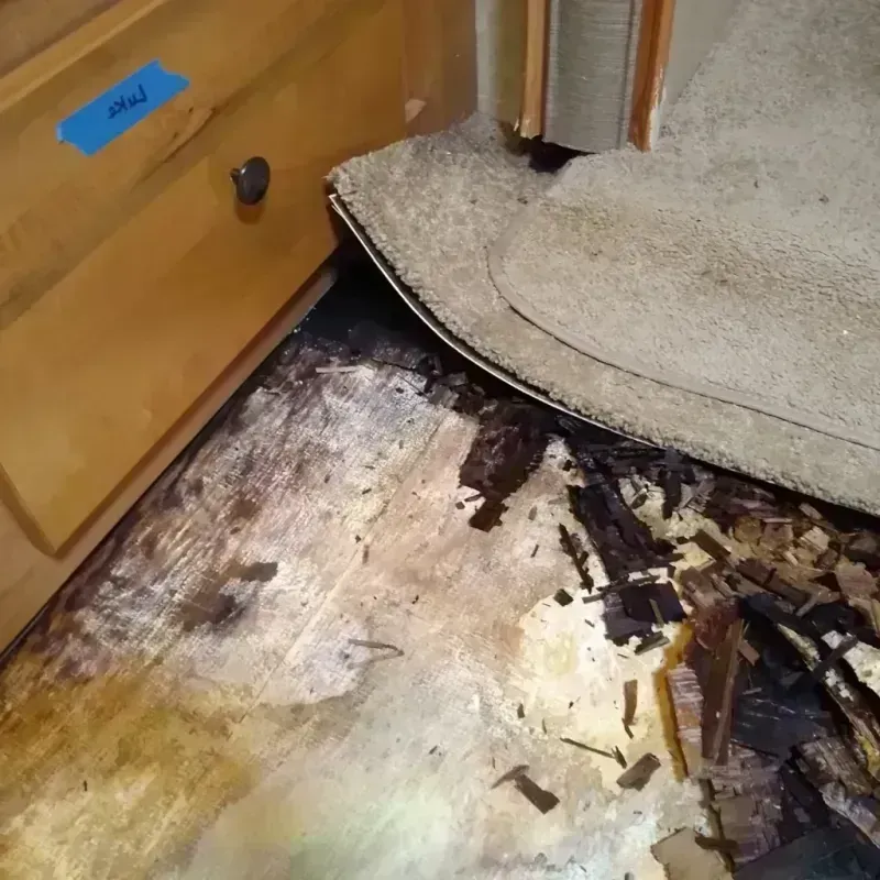 Wood Floor Water Damage in Marseilles, IL